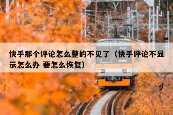 快手那个评论怎么整的不见了（快手评论不显示怎么办 要怎么恢复） 第1张