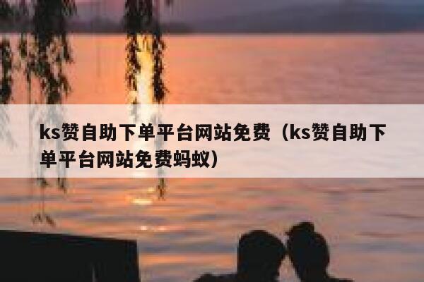 ks赞自助下单平台网站免费（ks赞自助下单平台网站免费蚂蚁） 第1张