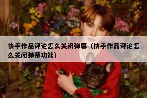 快手作品评论怎么关闭弹幕（快手作品评论怎么关闭弹幕功能） 第1张