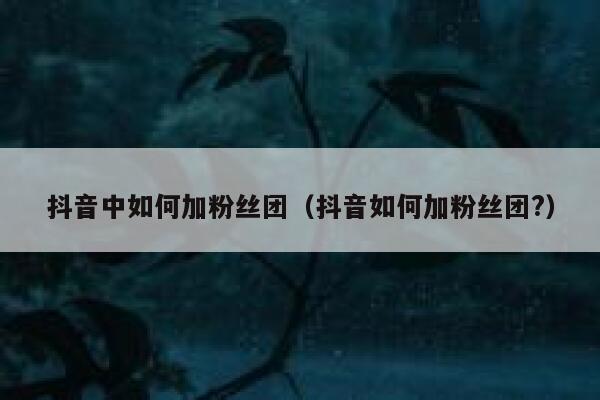 抖音中如何加粉丝团（抖音如何加粉丝团?） 第1张