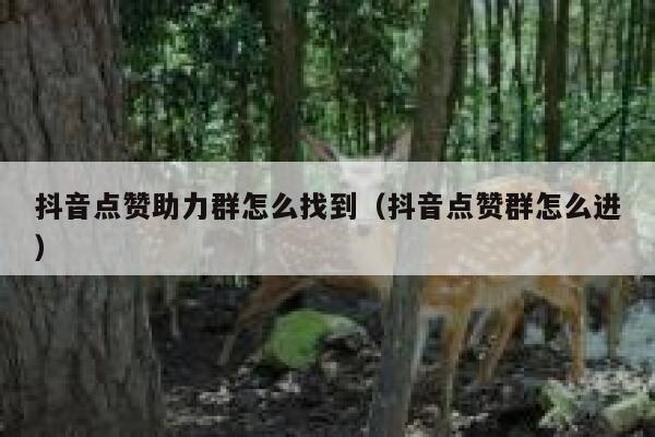 抖音点赞助力群怎么找到（抖音点赞群怎么进） 第1张
