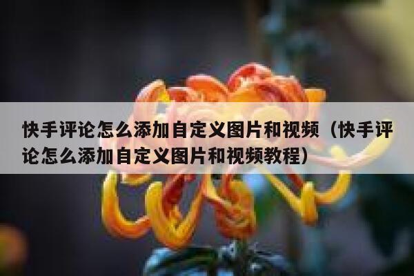 快手评论怎么添加自定义图片和视频（快手评论怎么添加自定义图片和视频教程） 第1张