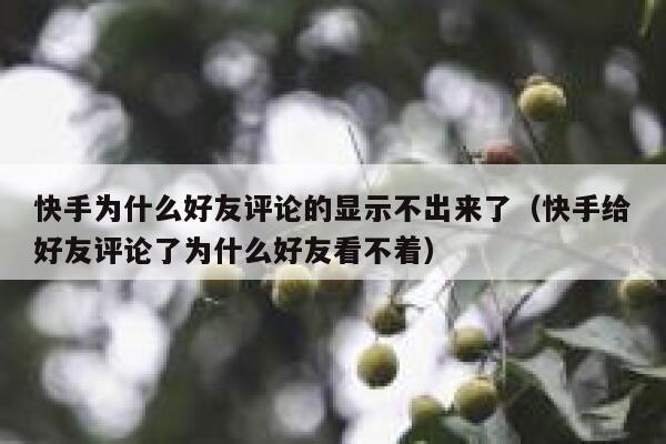 快手为什么好友评论的显示不出来了（快手给好友评论了为什么好友看不着） 第1张