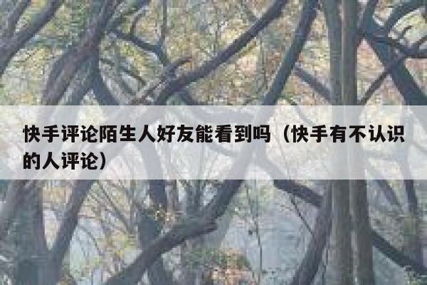 快手评论陌生人好友能看到吗（快手有不认识的人评论） 第1张