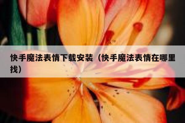 快手魔法表情下载安装（快手魔法表情在哪里找） 第1张