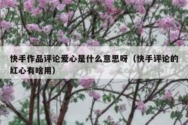 快手作品评论爱心是什么意思呀（快手评论的红心有啥用） 第1张