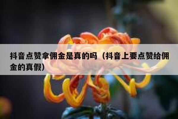 抖音点赞拿佣金是真的吗（抖音上要点赞给佣金的真假） 第1张