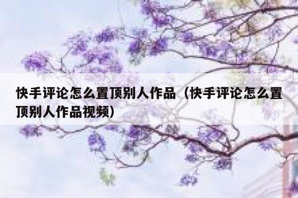 快手评论怎么置顶别人作品（快手评论怎么置顶别人作品视频） 第1张