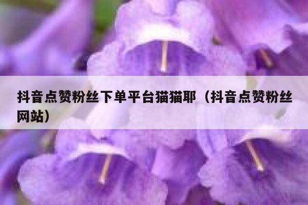 抖音点赞粉丝下单平台猫猫耶（抖音点赞粉丝网站） 第1张