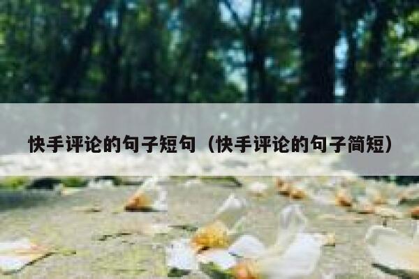 快手评论的句子短句（快手评论的句子简短） 第1张