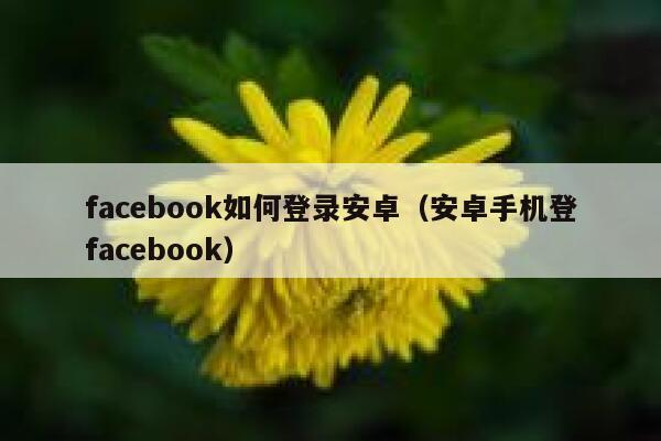 facebook如何登录安卓（安卓手机登facebook） 第1张
