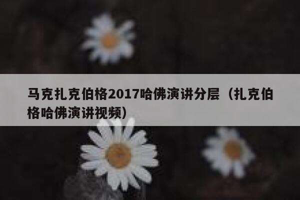 马克扎克伯格2017哈佛演讲分层（扎克伯格哈佛演讲视频） 第1张