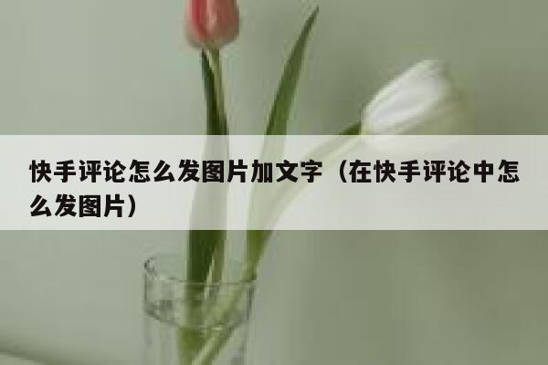 快手评论怎么发图片加文字（在快手评论中怎么发图片） 第1张