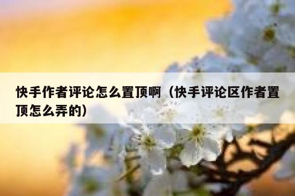 快手作者评论怎么置顶啊（快手评论区作者置顶怎么弄的） 第1张