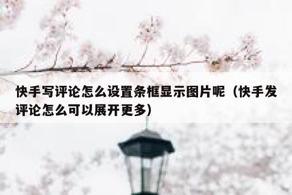 快手写评论怎么设置条框显示图片呢（快手发评论怎么可以展开更多） 第1张