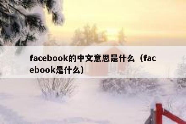 facebook的中文意思是什么（facebook是什么） 第1张