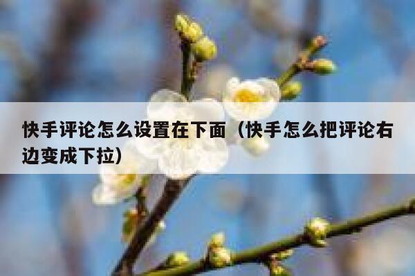 快手评论怎么设置在下面（快手怎么把评论右边变成下拉） 第1张
