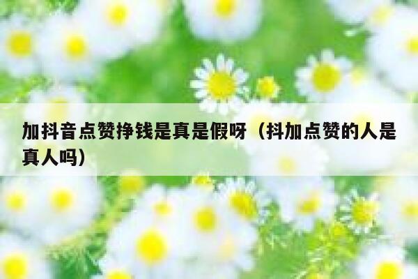 加抖音点赞挣钱是真是假呀（抖加点赞的人是真人吗） 第1张