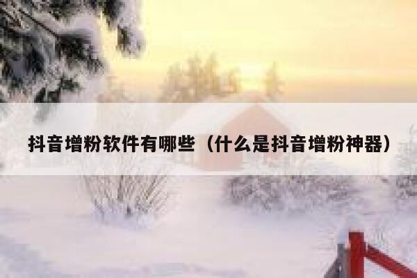 抖音增粉软件有哪些（什么是抖音增粉神器） 第1张