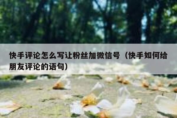 快手评论怎么写让粉丝加微信号（快手如何给朋友评论的语句） 第1张