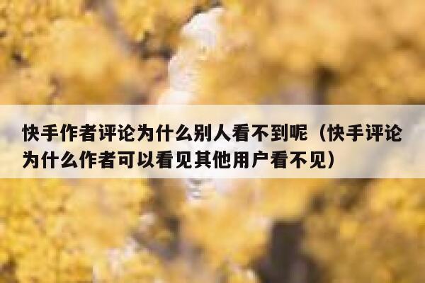 快手作者评论为什么别人看不到呢（快手评论为什么作者可以看见其他用户看不见） 第1张