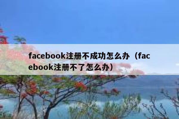 facebook注册不成功怎么办（facebook注册不了怎么办） 第1张