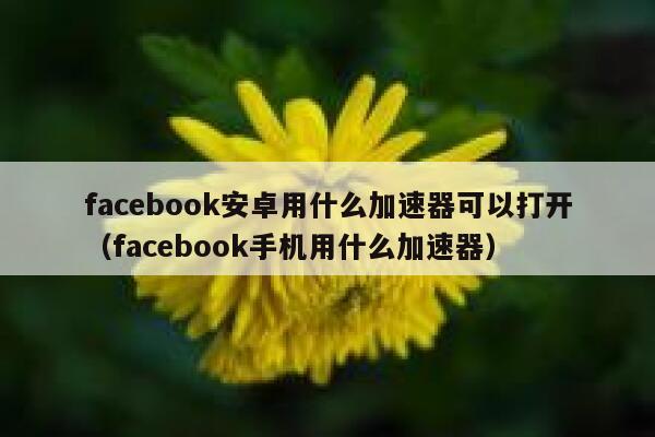 facebook安卓用什么加速器可以打开（facebook手机用什么加速器） 第1张