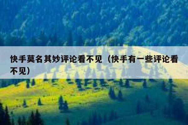 快手莫名其妙评论看不见（快手有一些评论看不见） 第1张