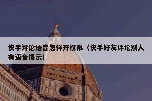 快手评论语音怎样开权限（快手好友评论别人有语音提示） 第1张