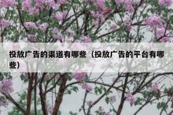 投放广告的渠道有哪些（投放广告的平台有哪些） 第1张