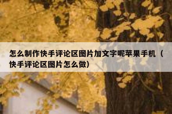 怎么制作快手评论区图片加文字呢苹果手机（快手评论区图片怎么做） 第1张