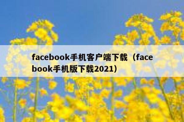 facebook手机客户端下载（facebook手机版下载2021） 第1张