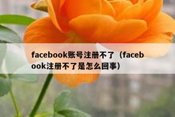 facebook账号注册不了（facebook注册不了是怎么回事） 第1张