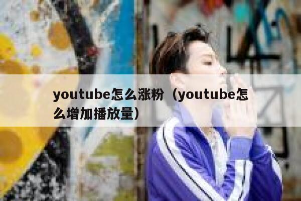 youtube怎么涨粉（youtube怎么增加播放量） 第1张