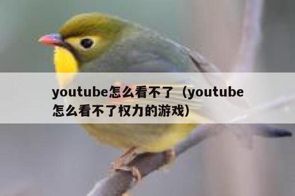 youtube怎么看不了（youtube怎么看不了权力的游戏） 第1张