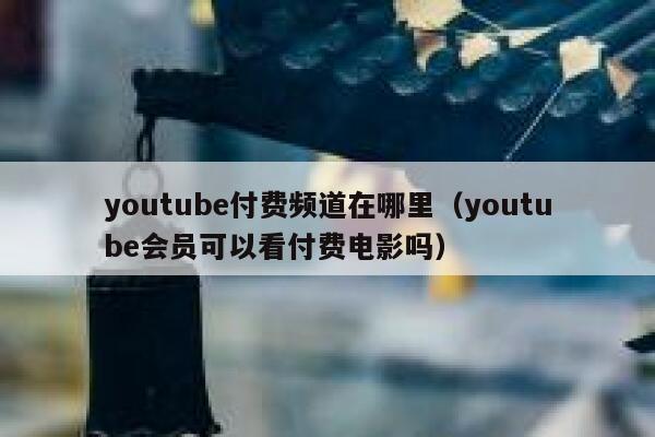 youtube付费频道在哪里（youtube会员可以看付费电影吗） 第1张