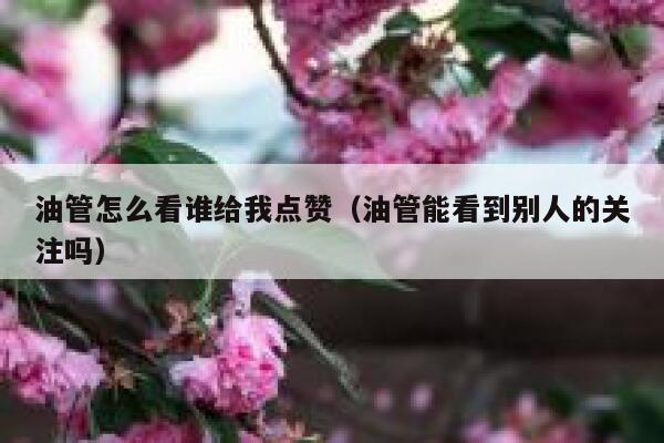 油管怎么看谁给我点赞（油管能看到别人的关注吗） 第1张