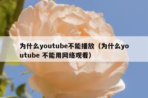 为什么youtube不能播放（为什么youtube 不能用网络观看） 第1张