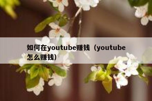 如何在youtube赚钱（youtube怎么赚钱） 第1张
