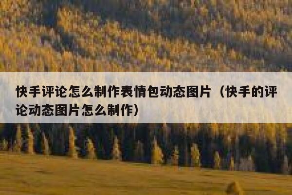 快手评论怎么制作表情包动态图片（快手的评论动态图片怎么制作） 第1张