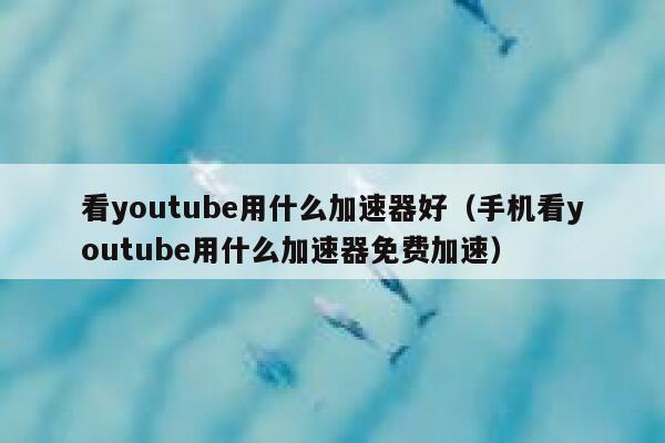 看youtube用什么加速器好（手机看youtube用什么加速器免费加速） 第1张