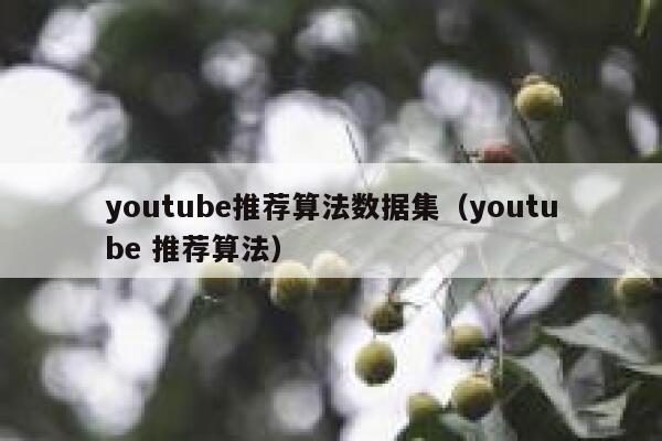 youtube推荐算法数据集（youtube 推荐算法） 第1张