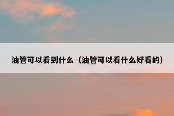 油管可以看到什么（油管可以看什么好看的） 第1张