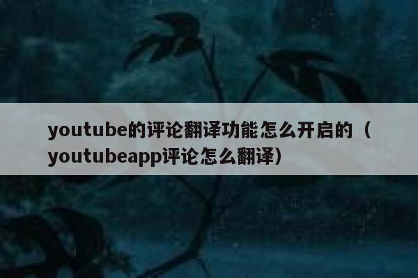 youtube的评论翻译功能怎么开启的（youtubeapp评论怎么翻译） 第1张