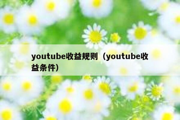 youtube收益规则（youtube收益条件） 第1张