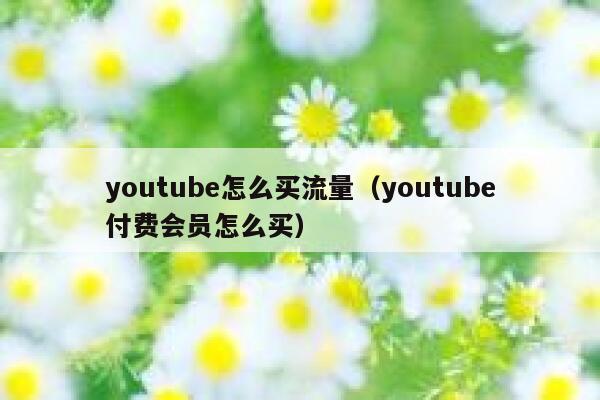 youtube怎么买流量（youtube付费会员怎么买） 第1张
