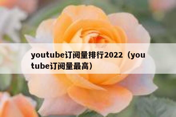 youtube订阅量排行2022（youtube订阅量最高） 第1张