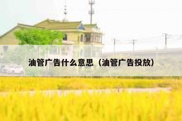 油管广告什么意思（油管广告投放） 第1张
