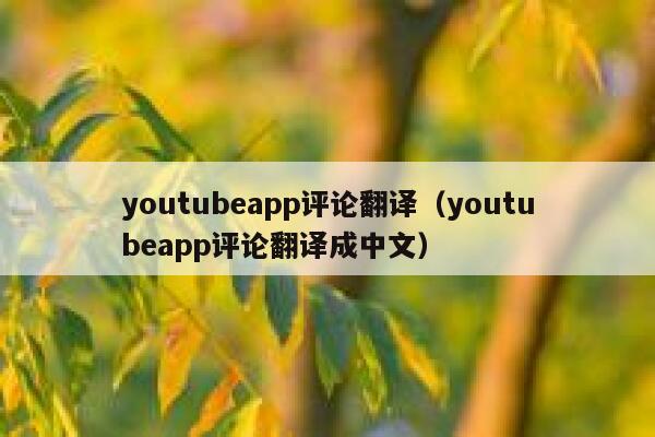 youtubeapp评论翻译(youtubeapp评论翻译成中文) 第1张 youtubeapp评论翻译(youtubeapp评论翻译成中文) 第1张