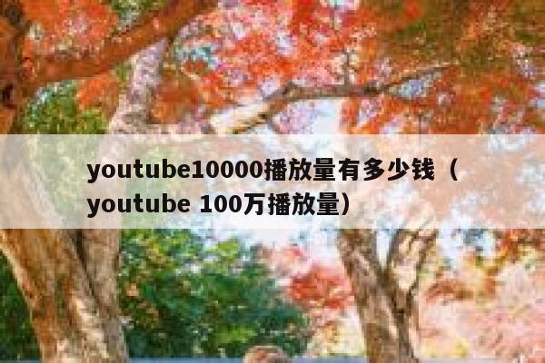 youtube10000播放量有多少钱（youtube 100万播放量） 第1张